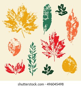 Vector colorful leaves prints set. Silhouettes of autumn leaves. Different kind of trees leaf collection.