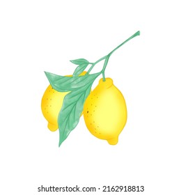Vector colorful lemons with white background.