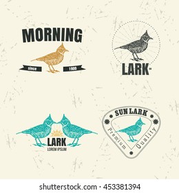 Vector colorful logo set with desert Crested lark bird. The lark bird as main element of logotypes on beige background. 