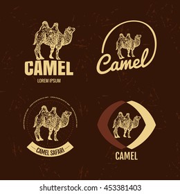 Vector colorful logo set with desert camel. The camel as main element of logotypes on brown background. 