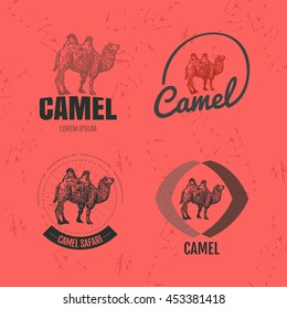 Vector colorful logo set with desert camel. The camel as main element of logotypes on red background. 