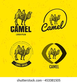 Vector colorful logo set with desert camel. The camel as main element of logotypes on yellow background. 
