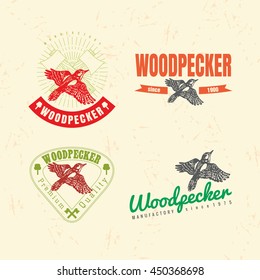 Vector colorful logo set with forest woodpecker bird. The woodpecker bird as main element of logotypes on beige background. Engraves vector design graphic element, emblem, logo, sign