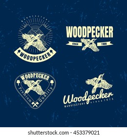 Vector colorful logo set with forest woodpecker bird. The woodpecker bird as main element of logotypes on dark blue background