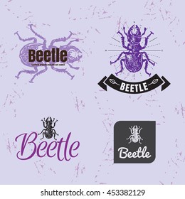 Vector colorful logo set with forest stag-beetle. The beetle as main element of logotypes on violet background. 