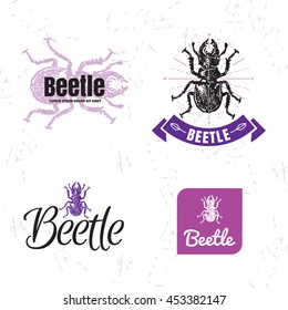 Vector colorful logo set with forest stag-beetle. The beetle as main element of logotypes on white background. 