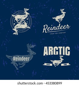 Vector colorful logo set with reindeer. The reindeer as main element of logotypes on blue background. 