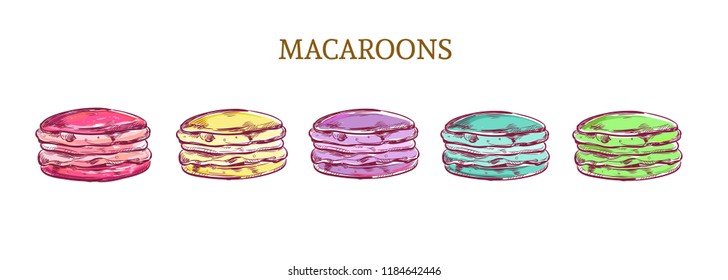 Vector colorful  macaroon almond cakes. Sketch style isolated objects