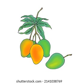 Mango vectorial colorido con fondo blanco.