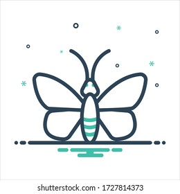 Vector colorful mix icon for butterfly