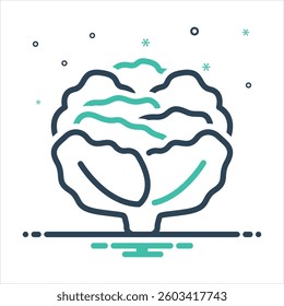 Vector colorful mix icon for cabbage