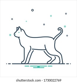 Vector colorful mix icon for cat