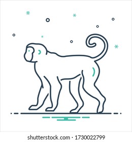 Vector colorful mix icon for monkey