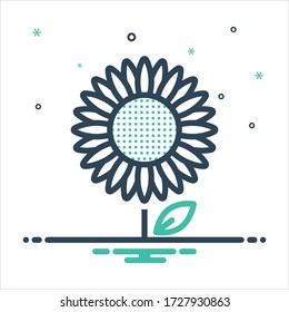 Vector colorful mix icon for sunflower