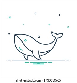 Vector colorful mix icon for whale