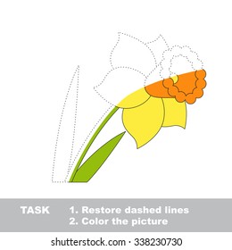 Vector colorful narcissus to be traced. Restore dashed line and color the picture. Worksheet to be colored.