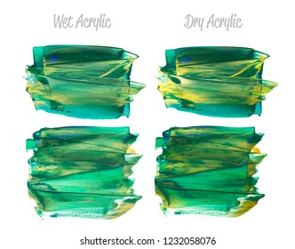 Vector colorful paint smear stroke stain set. Abstract acrylic textured art illustration. Texture Paint Stain Illustration. Hand drawn brush strokes vector elements. Yellow, green, gold colors.