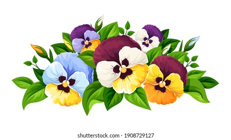 Vector colorful pansy flowers isolated on a white background.