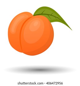 Vector colorful peach icon