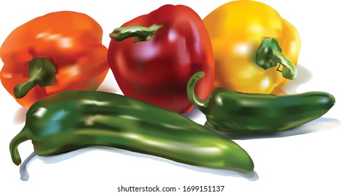 Vector Colorful Peppers Gradient Mesh