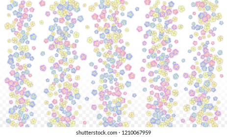 Vector Colorful Petals Falling on Transparent Background.  Spring Romantic Flowers Illustration. Flying Petals. Sakura Spa Design.  Blossom Confetti. Design Elements for  St. Valentine Day.