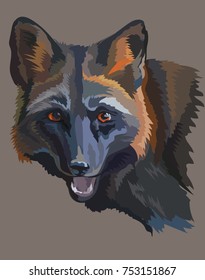 Vector colorful portrait of black fox on grey background