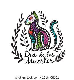 Vector colorful postcard. Dia de los Muertos, Day of the dead or Halloween concept. Cat skeleton with floral design, isolated on white background