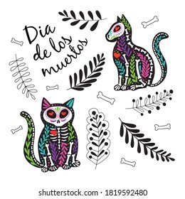 Vector colorful postcard. Dia de los Muertos, Day of the dead or Halloween concept. Cat skeletons with floral design, isolated on white background