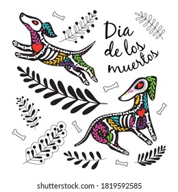 Vector colorful postcard. Dia de los Muertos, Day of the dead or Halloween concept. Dog skeletons with floral design, isolated on white background