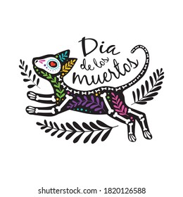 Vector colorful postcard. Dia de los Muertos, Day of the dead or Halloween concept. Cat skeleton with floral design, isolated on white background