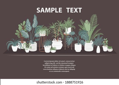 Vector colorful poster with indoor plants and flowers. Cartoon background on the theme of nature, flora, botany