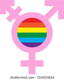 vector of colorful rainbow of transgender symbol, Gender relationships with lgbtq icon isolated on white background.