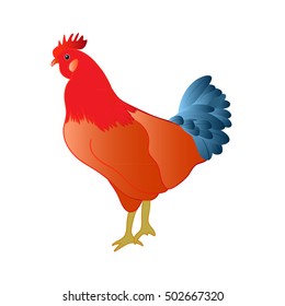 Vector colorful rooster, symbol of 2017 year