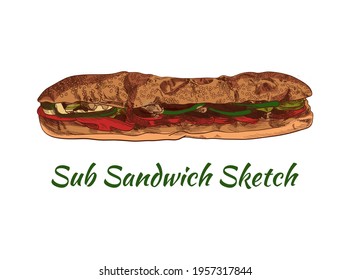 Vector Colorful Sandwich Sketch, Long Sub Sandwich, Food Drawings.