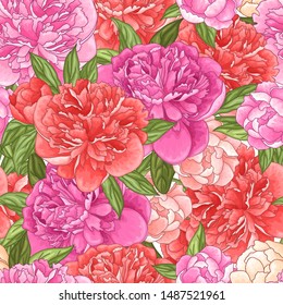 Vector colorful seamless floral pattern with pink and coral peony flowers on white background