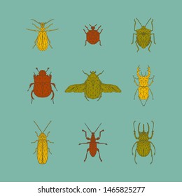 Vector colorful set of bugs and beetles in low poly style. Firebug, ladybug, bug, dung-beetle, rose beetle, stag beetle, firefly, weevil beetle, rhinoceros beetle.