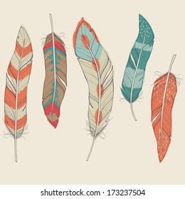 Vector colorful set different feathers