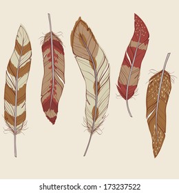Vector colorful set of different feathers
