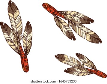 Vector colorful set of feathers
