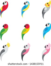 vector colorful set flat parrots