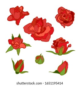 Conjunto vectorial colorido con flores. Rosa roja. Elementos de imagen prediseñada para postal, banner, impresión en pantalones t, invitación, tarjeta de felicitación, afiche