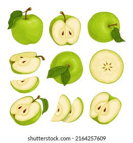 Vector colorful set of colorful green apples.Slices of summer fruits on a white background.