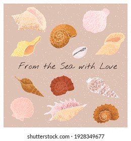 Vektorfarbiges Set mit handgezeichneten Illustrationen von Muscheln auf Sandhintergrund. Elemente für Ihre Designs für Grußkarten, Poster, Verpackungspapier, T-Shirts-Druck, Karten