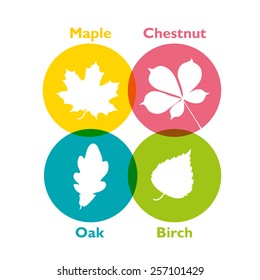 Vector colorful set of icons with forest leaf. Maple, chestnut, oak,birch.