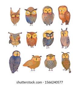 Vector colorful set with illustrations of cute owls isolated on white background. Can be used as elemets for your design for greeting cards, nursery, poster, card, birthday party, packaging paper