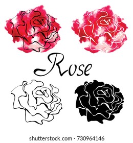 Vector colorful set with logo roses isolated on white background