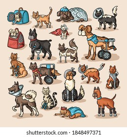 Vector colorful set on the theme of pets, veterinary care, veterinary medicine. Сartoon animals with disabilities, with injuries, fractures. Isolated doodles of cats and dogs for use in design