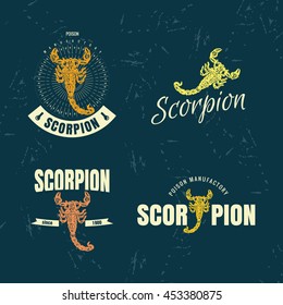 Vector colorful set with scorpion. The scorpion as main element of logotypes on dark blue background. 