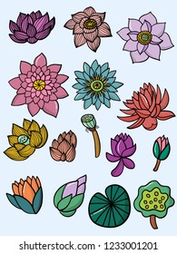 Vector of colorful set several lotus illustration