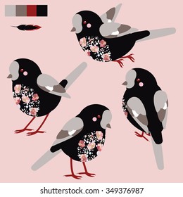Vector colorful set with stylish bird with red eyes in different pose
